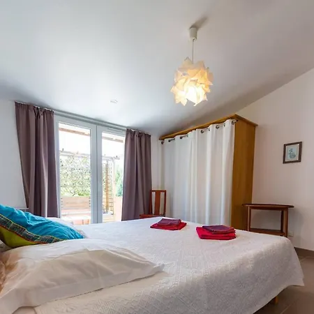 Canopee By Pinarello Services