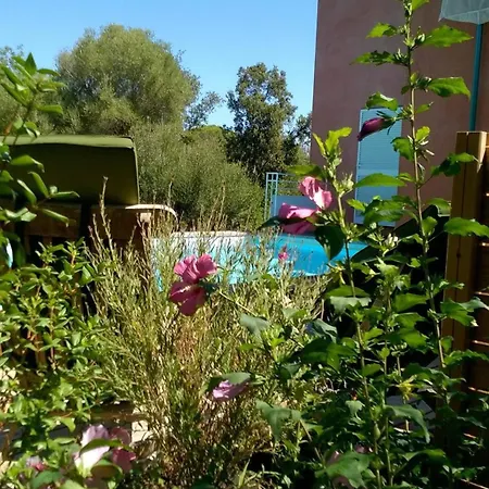 Villa Canopee By Pinarello Services Zonza