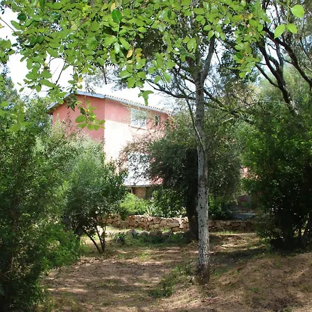 Canopee By Pinarello Services *