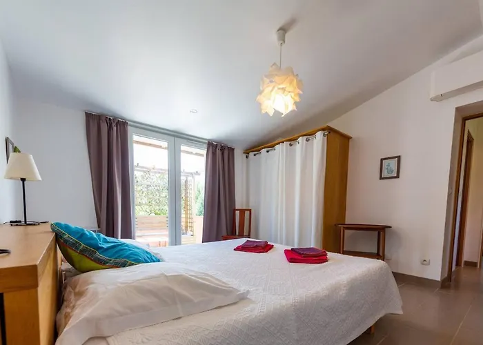 Canopee By Pinarello Services