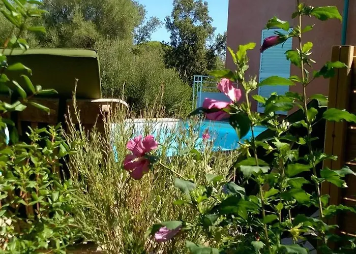 Villa Canopee By Pinarello Services Zonza