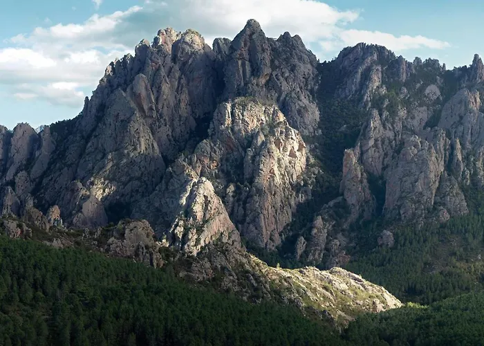 Canopee By Pinarello Services וילה *