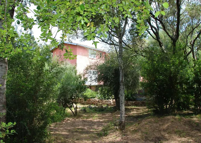 Canopee By Pinarello Services *