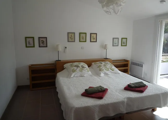 Canopee By Pinarello Services Villa Zonza